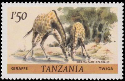 Giraffa camelopardalis on postage stamp of Tanzania 1985