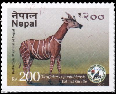 Giraffokeryx punjabiensis on postage stamp of Nepal 2017