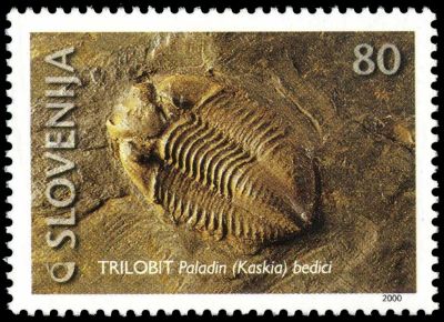 Trilobite on postage stamp of Slovenia 2000