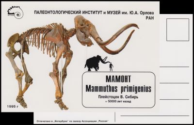 woolly Mammoth on stamp of Cuba 2008